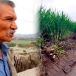 Javier Salas Vidal busca la reelección en la Junta de Usuarios del Subsector Hidráulico Menor Nepeña: “Queremos consolidar los logros y seguir avanzando en la gestión del agua”