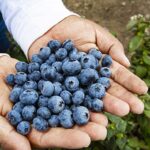 Javier Salas Vidal busca la reelección en la Junta de Usuarios del Subsector Hidráulico Menor Nepeña: “Queremos consolidar los logros y seguir avanzando en la gestión del agua”