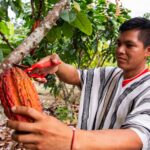 Luis Guzmán Cotrina lanza su candidatura mostrando obras y compromiso
