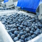 Clientes con deudas pueden acceder a la promoción de Hidrandina pagando hasta el 20% de inicial