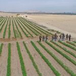 Lambayeque: trabajos en el río Zaña avanzan, pero urge mayor rapidez ante riesgo de lluvias