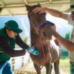 Agricultores de La Carbonera denuncian afectación al riego tras ruptura de sifones por Chinecas