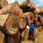 POSESIONARIOS Cuestionan validez de Constancia de visita y anuncian planton en Chinecas