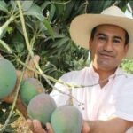 MIDAGRI lanza proyecto para recuperar ecosistemas y bosques que fortalecerá la agricultura en San Martín