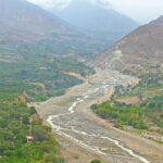 APEM y SENASA informan sobre nuevas medidas fitosanitarias para la exportación de mango