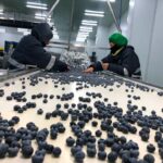 Órdenes de servicio revelarian presuntos pagos de hasta S/ 77 mil por cuestionado pintado con “spray”