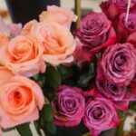 El Ingeniero Que Está Cambiando La Historia De Los Agricultores En Quillo y en Valles Costeros