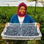 Gestion de IRCHIM: Millonario plan para controlar inundaciones del río Lacramarca entra en fase clave