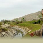 “ADVANTA”: LA SEMILLA HÍBRIDA Que siembra esperanza y rentabilidad en el campo peruano