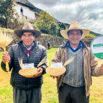 Cofopri destapa el colapso territorial de Chinecas: invasiones, planos irregulares y 370 parcelas desaparecidas