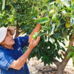 Cuando todos se suben al carro: Agricultores esperando mientras otros ya hacen política