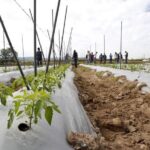 ¿Marco Vinelli al Ministerio de Agricultura? Marcelo Méndez ya tendería puentes en favor del agro de Casma