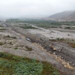Agroexportaciones superaron los US$ 5,600 millones en primer semestre del año