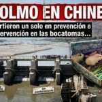 MIDAGRI concreta primera compra de arroz y cumple compromiso con pequeños productores de Loreto
